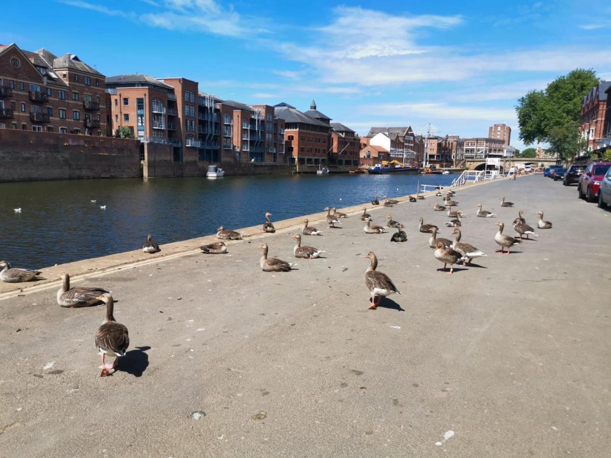 Hartoft St - 2 Bed Near River York Exterior foto